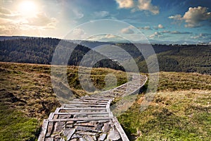 Path winding through moorland and forest